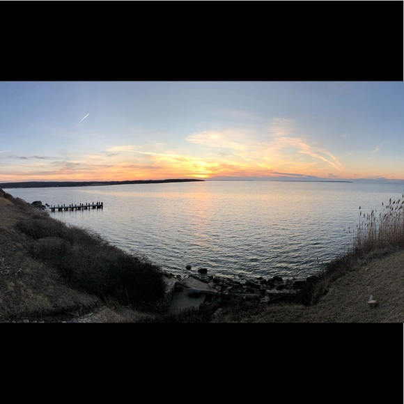 Meet your Posher, Tara - Picture 1 of 1